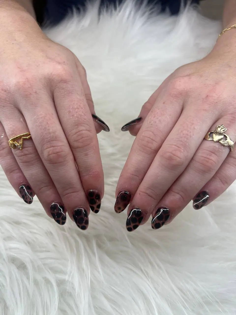 photo_4_2025-09-06_05-32-46